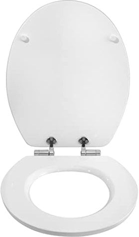 WOLTU Wooden Toilet Seat, Soft Close Toilet Seat with Strong Hinge Ideal for Standard Bowl