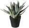 CREATIV green künstliche Aloe Vera Pflanze 23cm I Aloe Vera Deko Pflanze mit schickem Topf I stilvolle Kunstpflanze im Topf mit naturgetreuen Blättern I realitätsnahe Badezimmer Deko Pflanzen