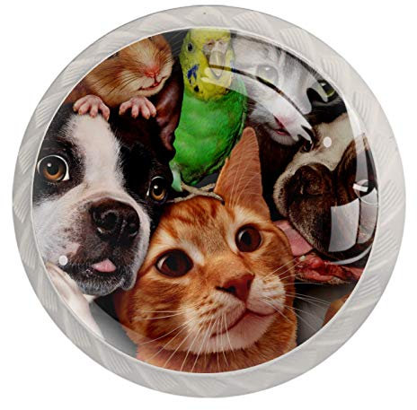 Möbelknopf Hund Katze Hamster Wellensittich Möbelgriffe 4 Stück Schubladenknopf Niedlich Kabinett Knauf Schublade Schrank Schranktüren Türgriff 3.5×2.8CM