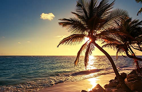 VLIES Fototapete-500x280 cm-SÜDSEE-(PF4897)-Palmen Strand Meer Urlaub Reise Karibik Südsee Wandbild Wandtattoo Poster Dekoration