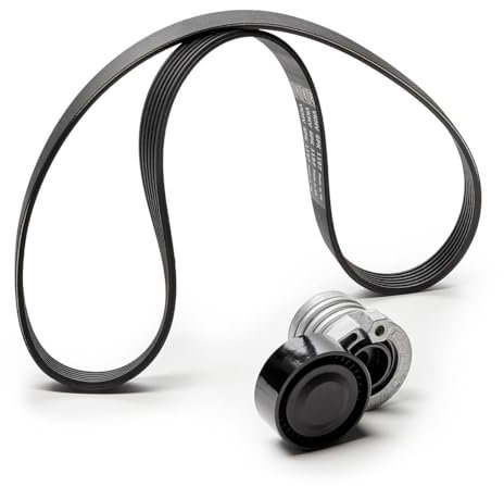SKF Keilrippenriemensatz