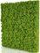 naturewalls Moospaneele Basic - 50 x50 - Moosbild Islandmoos - Mooswand selber Machen - Moosplatte - Wandbegrünung
