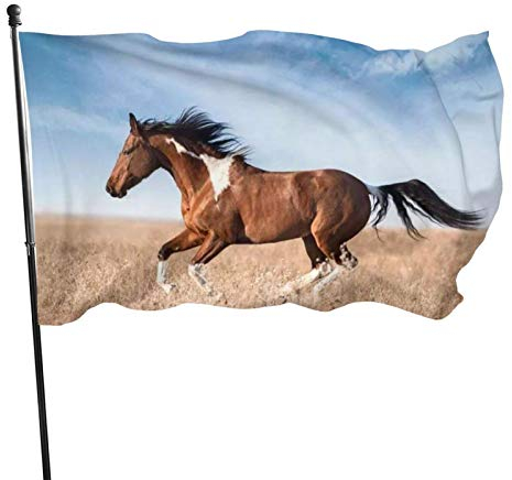 Flaggen, Pferd Fahnen Gartenflagge Dekorative Hofbanner lichtbeständig Rasenbanner Feiertagsdekoration Flagge für Innendekoration im Freien, 3 x 5 ft (90 x 150 cm)