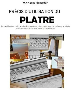 Précis d'utilisation du plâtre Procédés de moulage, de durcissement, de coloration, de nettoyage et de conservation à l'intérieur et à l'extérieur: ... du plâtre (Arts et Metiers, Band 2)