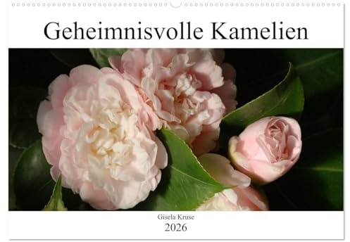 Geheimnisvolle Kamelien (Wandkalender 2026 DIN A2 quer), CALVENDO Monatskalender: Der mystische Zauber der Kamelienblüten (CALVENDO Natur)