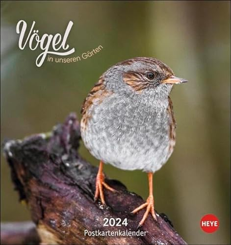 Vögel in unseren Gärten Postkartenkalender 2024. Ein kleiner Kalender zum Aufstellen und Aufhängen mit den 12 häufigsten Gartenvogelarten. Postkarten-Fotokalender zum Heraustrennen.