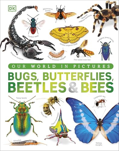 Our World in Pictures Bugs, Butterflies, Beetles and Bees
