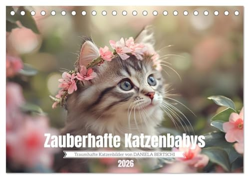 Zauberhafte Katzenbabys (Tischkalender 2026 DIN A5 quer), CALVENDO Monatskalender: Lassen Sie sich jeden Monat aufs Neue durch die wunderbare Welt der Katzenbabys verzaubern. (CALVENDO Tiere)