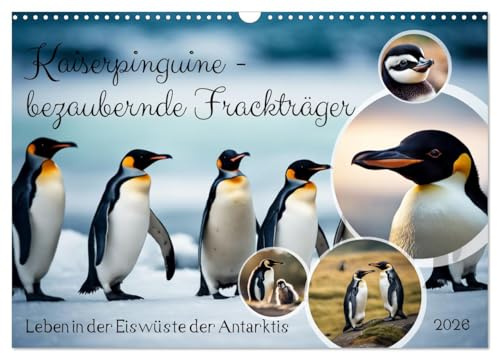 Kaiserpinguine - bezaubernde Frackträger (Wandkalender 2026 DIN A3 quer), CALVENDO Monatskalender: Leben in der Eiswüste der Antarktis (CALVENDO Tiere)