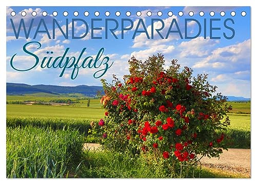 Wanderparadies Südpfalz (Tischkalender 2026 DIN A5 quer), CALVENDO Monatskalender: Beispiele wunderschöner Wandertouren in der Südpfalz zu jeder Jahreszeit (CALVENDO Orte)