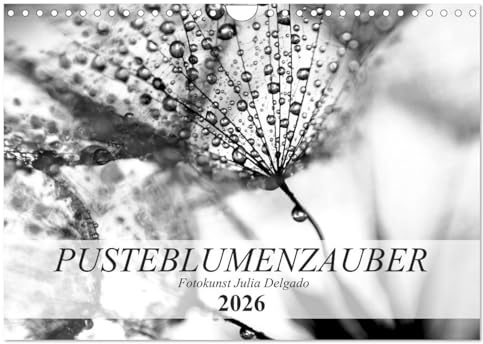 Pusteblumenzauber in schwarzweiß (Wandkalender 2026 DIN A4 quer), CALVENDO Monatskalender: Phantastische Nahaufnahmen von Pusteblumen (CALVENDO Natur)
