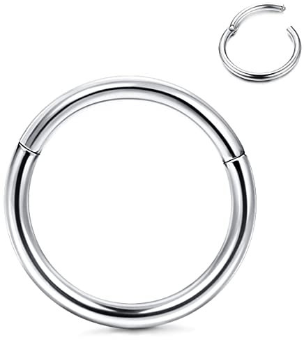 Roheafer Anillos nasales hipoalergénicos Titanio G23 Anillos Nariz aro 14G 16G 18G 71G Anillos segmentos bisagras para Mujeres Hombres Helix Tragus Cartílago Septum Joyería Anillos perforación Cuerpo