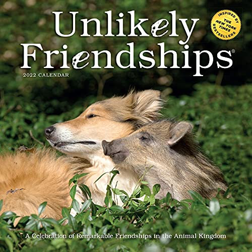2022 Unlikely Friendships