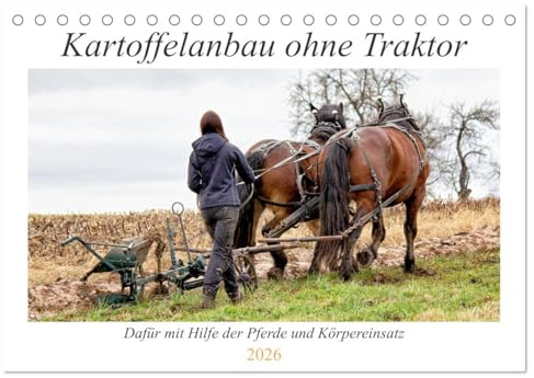 Kartoffelanbau ohne Traktor (Tischkalender 2026 DIN A5 quer), CALVENDO Monatskalender: Der Anbau von Kartoffeln mit unseren Pferden und Körpereinsatz. (CALVENDO Tiere)