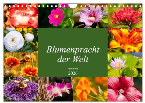 Blumenpracht der Welt (Wandkalender 2026 DIN A4 quer), CALVENDO Monatskalender: Die Vielfalt der Blumenwelt (CALVENDO Natur)