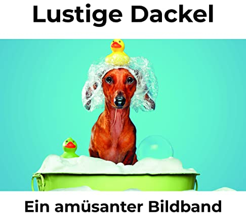 Lustige Dackel: Ein amüsanter Bildband