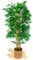 Maia Shop | Künstlicher Bambus | Künstlicher Baum | Maße: 180 x 80 cm | Künstliche Pflanzen | Fake Plant | Plastik Pflanze | Deko | Deko Wohnzimmer