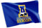 Desert Cactus Flagge der University of Alaska Fairbanks UAF Nanooks aus 100 % Polyester, für drinnen und draußen, 91 x 152 cm