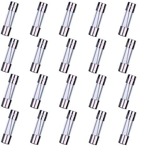 HUAREW F20AL250V 20 Stück 5x20mm flinke Glass icherung 20A 250V 0,2x0,78 Zoll zeitverzögerte Sicherung (Packung mit 20 Stück)
