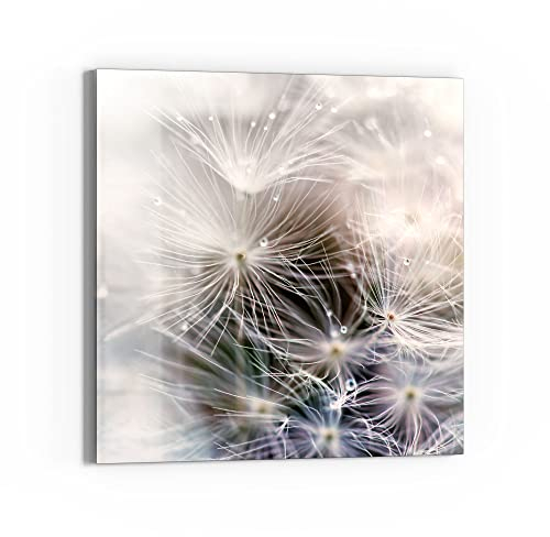 DEQORI Glas-Magnettafel | 50x50 cm groß | Motiv Detailaufnahme Pusteblume | Memo-Board aus Glas | Magnetboard inkl. Magnete, Stift & Tuch für Küche & Büro | Tafel magnetisch & beschreibbar