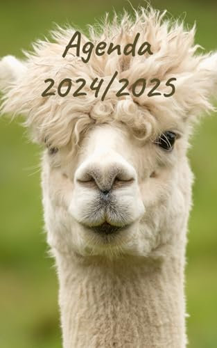 AGENDA 2024/2025: Planificateur scolaire journalier | Emploi du temps | Calendrier | Une page par jour