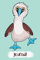 Journal: Blank Lined Paper Notebook Blue Footed Booby Mint Green (JO 6 x 9 108pages, Band 10)