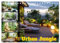 Urban Jungle - wohnen mit Pflanzen (Tischkalender 2025 DIN A5 quer), CALVENDO Monatskalender