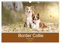 Border Collie - Bunt und clever! (Wandkalender 2025 DIN A3 quer), CALVENDO Monatskalender: Border Collies - die bunten Hunde machen einfach Spaß! (CALVENDO Tiere)