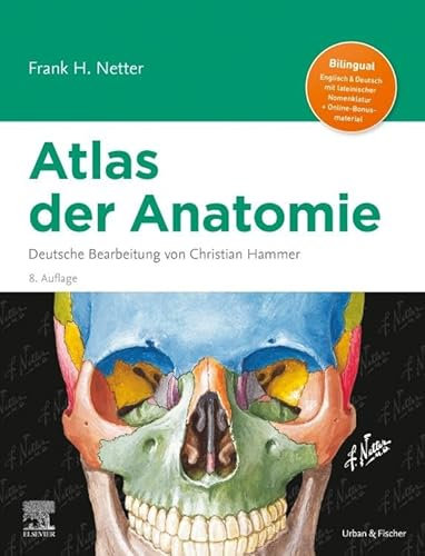 Netter Atlas der Anatomie: Deutsche Bearbeitung von Christian Hammer (VORKLINIK - Lehrbuch - Urban & Fischer-Verlag)