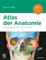 Netter Atlas der Anatomie: Deutsche Bearbeitung von Christian Hammer (VORKLINIK - Lehrbuch - Urban & Fischer-Verlag)