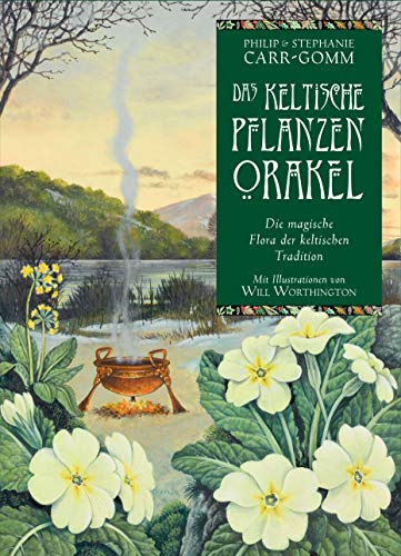Das keltische Pflanzenorakel: Buch mit 35 Karten