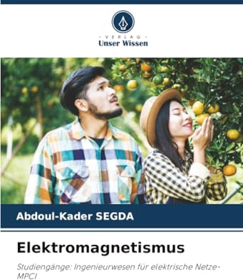 Elektromagnetismus: Studiengänge: Ingenieurwesen für elektrische Netze-MPCI