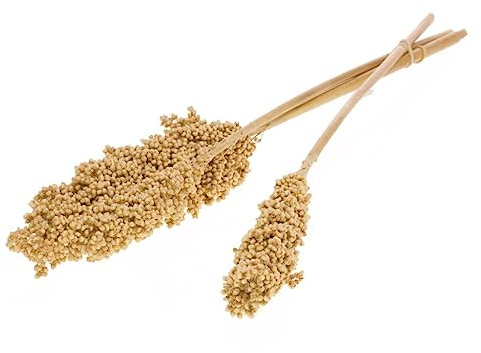 NaDeco Indian-Corn-Trockenblumen in Natur, 3 Stiele, Größe ca. 60cm | Sorghum-Hirse | Trockenblumen | Boho-Style | Deko-Gras | Getrocknete Gräser im Bund | Trockenblumenstrauß | Naturdeko