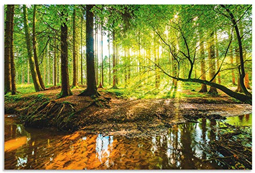 ARTland Wanddeko Wandbild Alu Verbundplatte für Innen & Outdoor Bild 120x80 cm Wald Natur Landschaft Bäume Bach Sonne Frühling T9IO