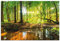 ARTland Wanddeko Wandbild Alu Verbundplatte für Innen & Outdoor Bild 120x80 cm Wald Natur Landschaft Bäume Bach Sonne Frühling T9IO