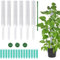 seluluory Pot pour plantes grimpantes - Mousse de tourbe - Engrais pour plantes - Aide à la croissance - Aide à l'escalade - Support de hauteur