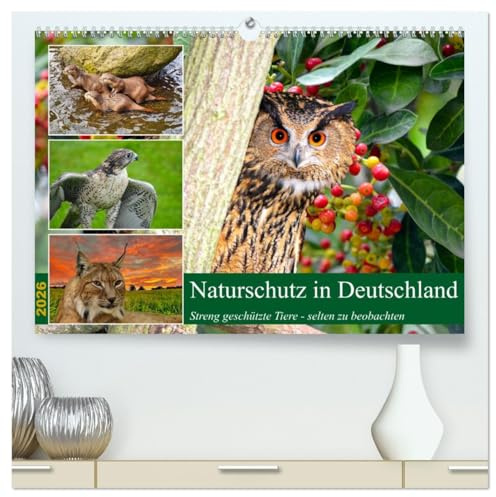 Naturschutz in Deutschland (hochwertiger Premium Wandkalender 2026 DIN A2 quer), Kunstdruck in Hochglanz: Streng geschütze Tiere - nur noch selten zu beobachten (CALVENDO Tiere)