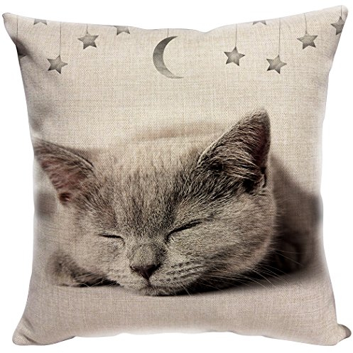 YISUMEI Kissenbezug 80x80 cm Home Decor Sofa Werfen Kissenbezüge Pillowcases Kätzchen Katze Schlaf Star Mond