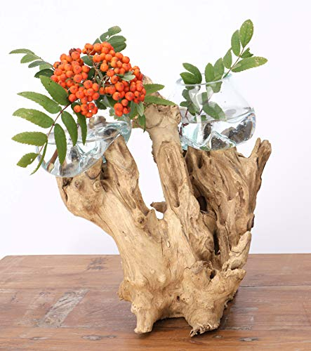 Guru-Shop Vase en Bois de Racine Exotique Avec Deux Verres - 2 x Ø Verre à 10 cm, Marron, Vases Pots de Fleurs