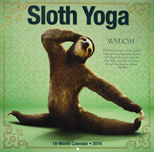 Sloth Yoga 2019 Calendar