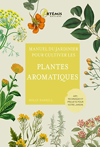 Pour cultiver les plantes aromatiques: 0