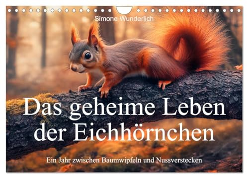 Das geheime Leben der Eichhörnchen - Ein Jahr zwischen Baumwipfeln und Nussverstecken (Wandkalender 2026 DIN A4 quer), CALVENDO Monatskalender: ... Charme, Witz und Flausch (CALVENDO Tiere)