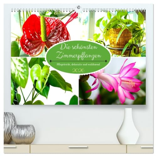 Die schönsten Zimmerpflanzen. Pflegeleicht, dekorativ und wohltuend (hochwertiger Premium Wandkalender 2026 DIN A2 quer), Kunstdruck in Hochglanz: ... und reinigen die Luft (CALVENDO Natur)