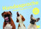 Laurence King Hundesprache. Verstehst du deinen Hund? EIN Memo-Spiel