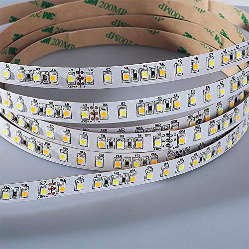 Mextronic LED Streifen 72W LED Band LED Strip 3528 TUNABLE WHITE (2700-6500K)(H) 72W 500CM 24V IP20