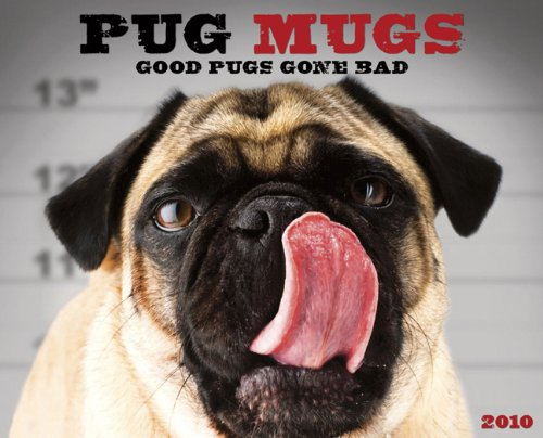 Pug Mugs 2010 Calendar: Good Pugs Gone Bad