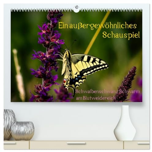 Ein außergewöhnliches Schauspiel (hochwertiger Premium Wandkalender 2026 DIN A2 quer), Kunstdruck in Hochglanz: Schwalbenschwanz Schwarm am Blutweiderich (CALVENDO Tiere)