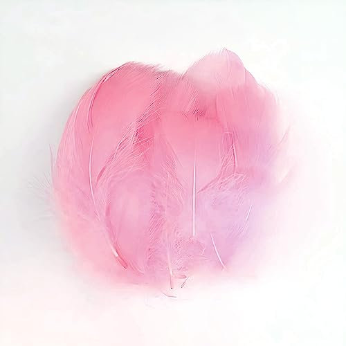 Gänsefedern Rosa 7-12cm - 100 Stück (5g) - Hochwertige, Flauschige & Natürliche Federn für Basteln, Dekoration, DIY Projekte, Traumfänger, Schmuckherstellung & Mehr