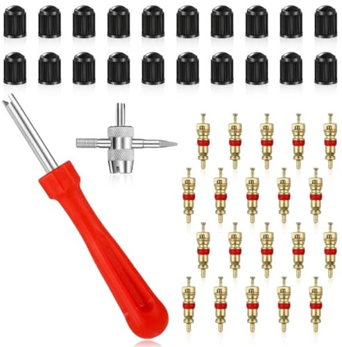 JEYORZY 42 Pcs Kit Herramientas de Extracción de Válvula, Herramientas de Válvulas de Neumáticos, Kit de Reparación de Neumáticos, Núcleos Válvula, Llave Núcleo de Válvula, para Bicicleta Coche Moto