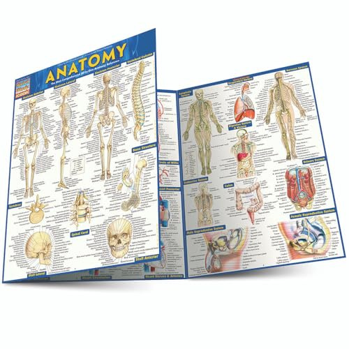 Anatomy - Reference Guide: a QuickStudy reference tool (Quick Study: Quizzer) (Quickstudy Academic)